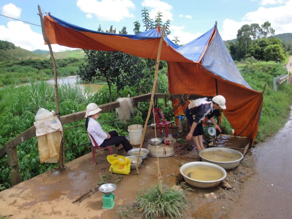 Selling fresh cat fish on the road side Pictures, Images and Photos