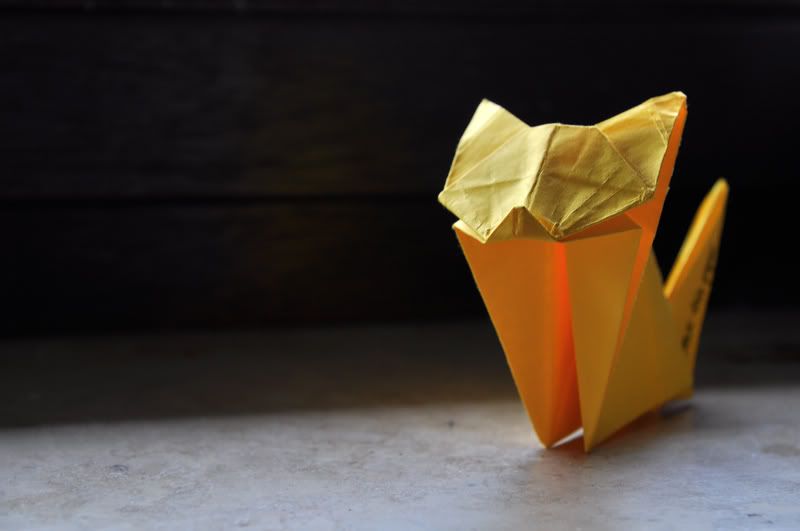 origami,wreck this paper,katze,cat,paper,papier