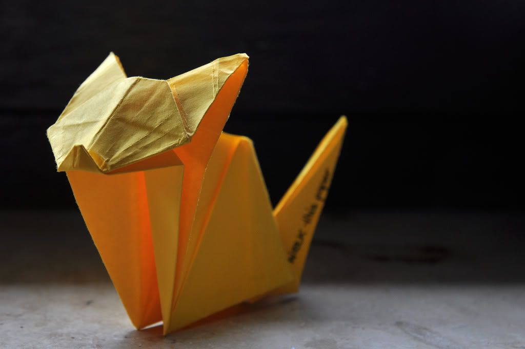 origami,wreck this paper,katze,cat,paper,papier