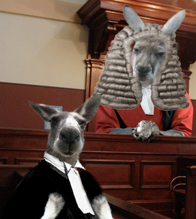kangaroo-court.png