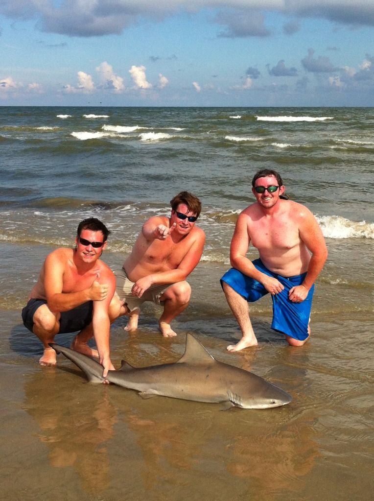 Bull Shark Fishing