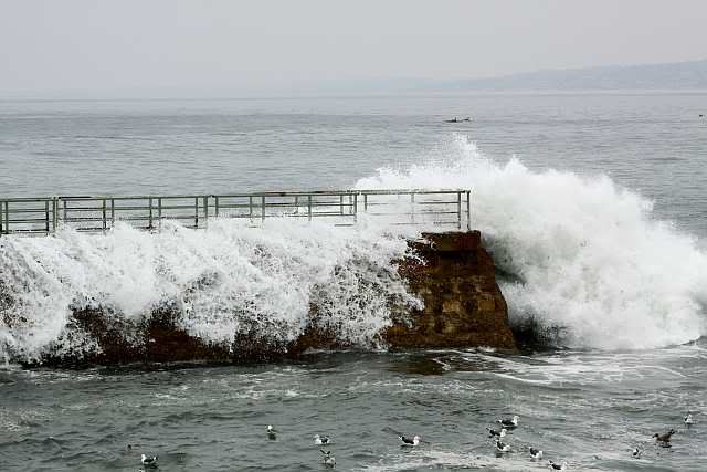 IMAGE: http://i793.photobucket.com/albums/yy220/alissa190/2009_11_06_0046.jpg