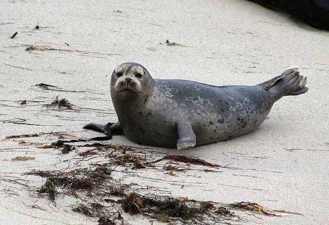 IMAGE: http://i793.photobucket.com/albums/yy220/alissa190/2009_11_06_0095.jpg