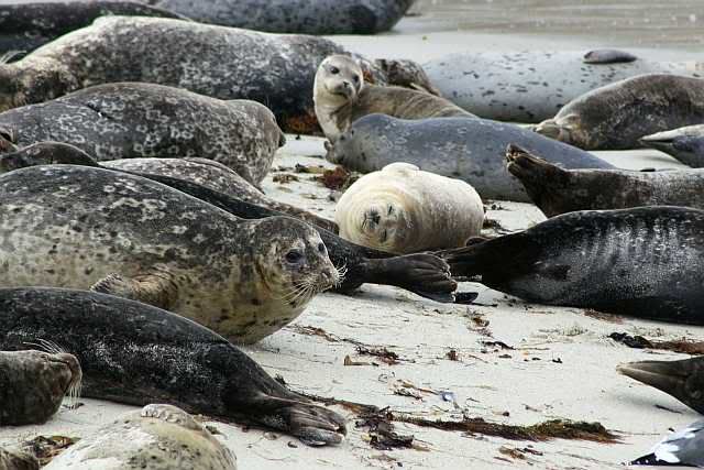 IMAGE: http://i793.photobucket.com/albums/yy220/alissa190/2009_11_06_0114.jpg