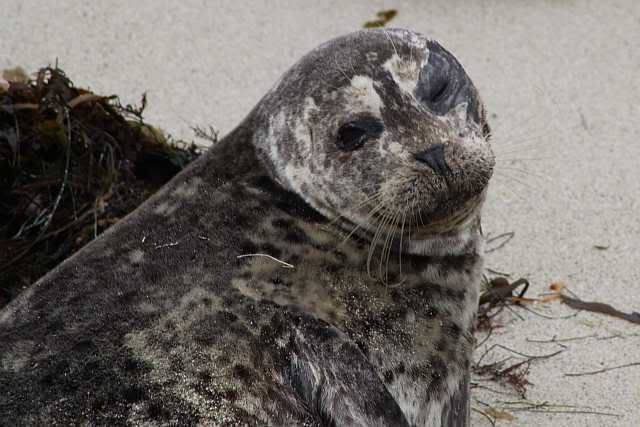 IMAGE: http://i793.photobucket.com/albums/yy220/alissa190/2009_11_06_0126.jpg