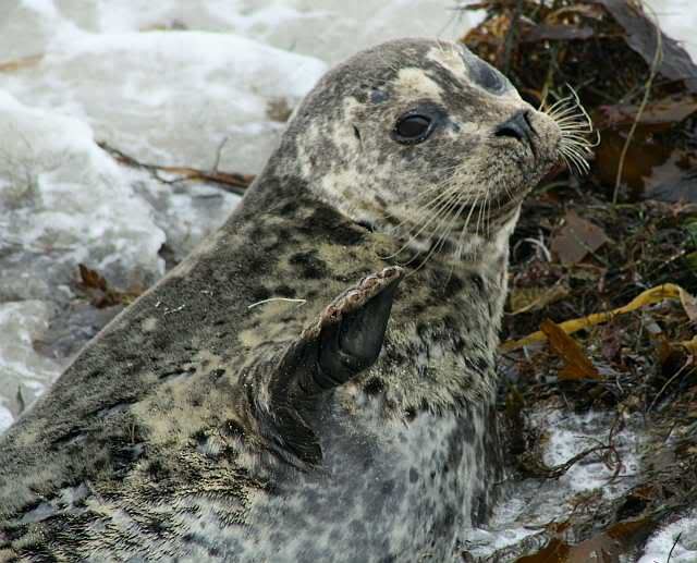 IMAGE: http://i793.photobucket.com/albums/yy220/alissa190/2009_11_06_0184.jpg