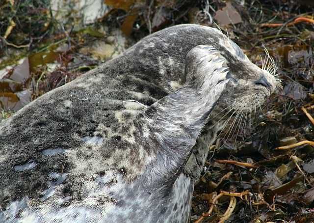 IMAGE: http://i793.photobucket.com/albums/yy220/alissa190/2009_11_06_0190.jpg