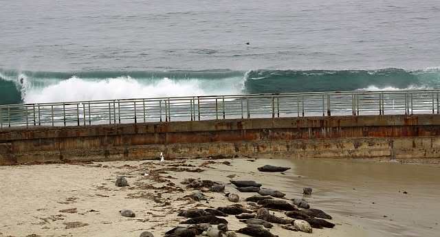 IMAGE: http://i793.photobucket.com/albums/yy220/alissa190/2009_11_06_0249.jpg