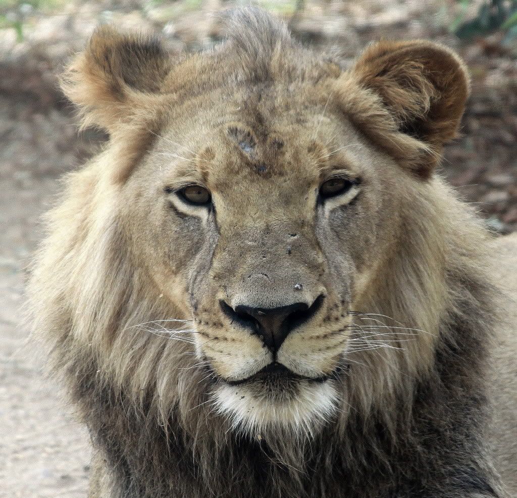 IMAGE: http://i793.photobucket.com/albums/yy220/alissa190/2009_11_11_12791.jpg