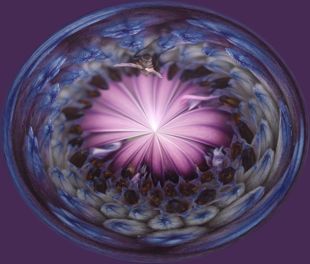 IMAGE: http://i793.photobucket.com/albums/yy220/alissa190/2009_12_12_6840-1.jpg