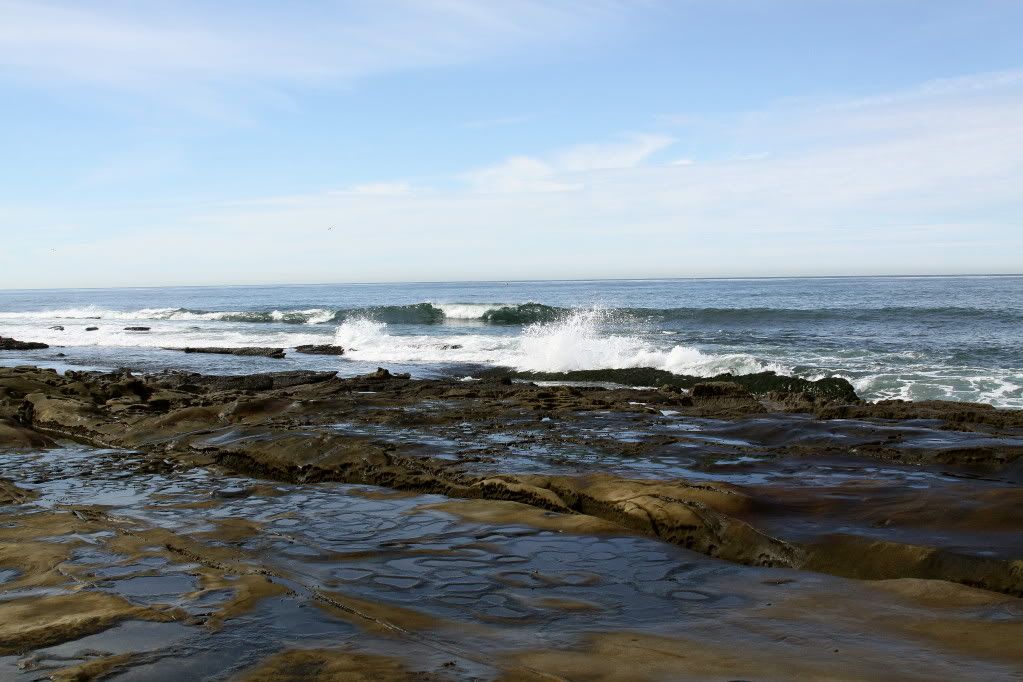 IMAGE: http://i793.photobucket.com/albums/yy220/alissa190/2009_12_15_6993.jpg