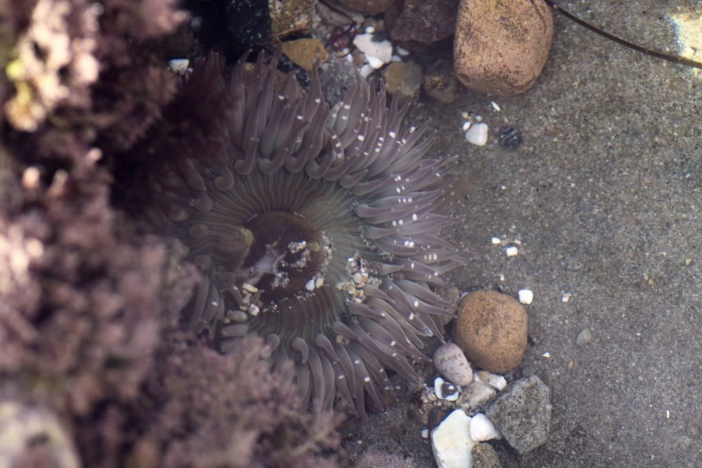 IMAGE: http://i793.photobucket.com/albums/yy220/alissa190/2009_12_15_7114.jpg