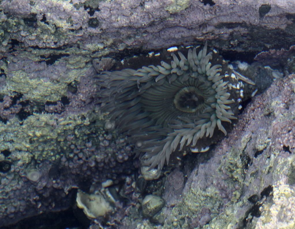 IMAGE: http://i793.photobucket.com/albums/yy220/alissa190/2009_12_15_7134.jpg