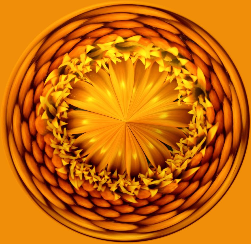 IMAGE: http://i793.photobucket.com/albums/yy220/alissa190/2009_12_20_7967-3.jpg