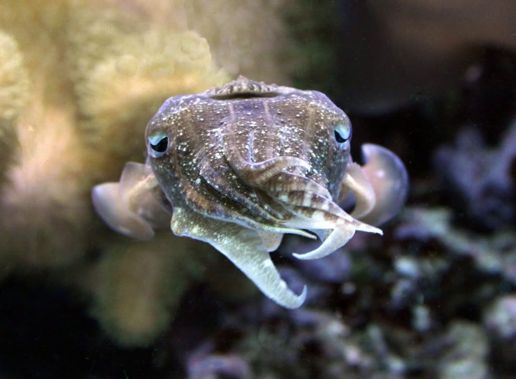 IMAGE: http://i793.photobucket.com/albums/yy220/alissa190/2010_01_16_9999_96.jpg