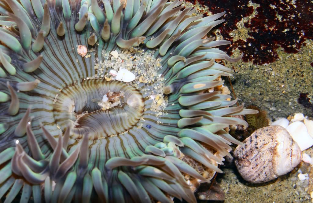 IMAGE: http://i793.photobucket.com/albums/yy220/alissa190/2010_02_14_9999_136.jpg