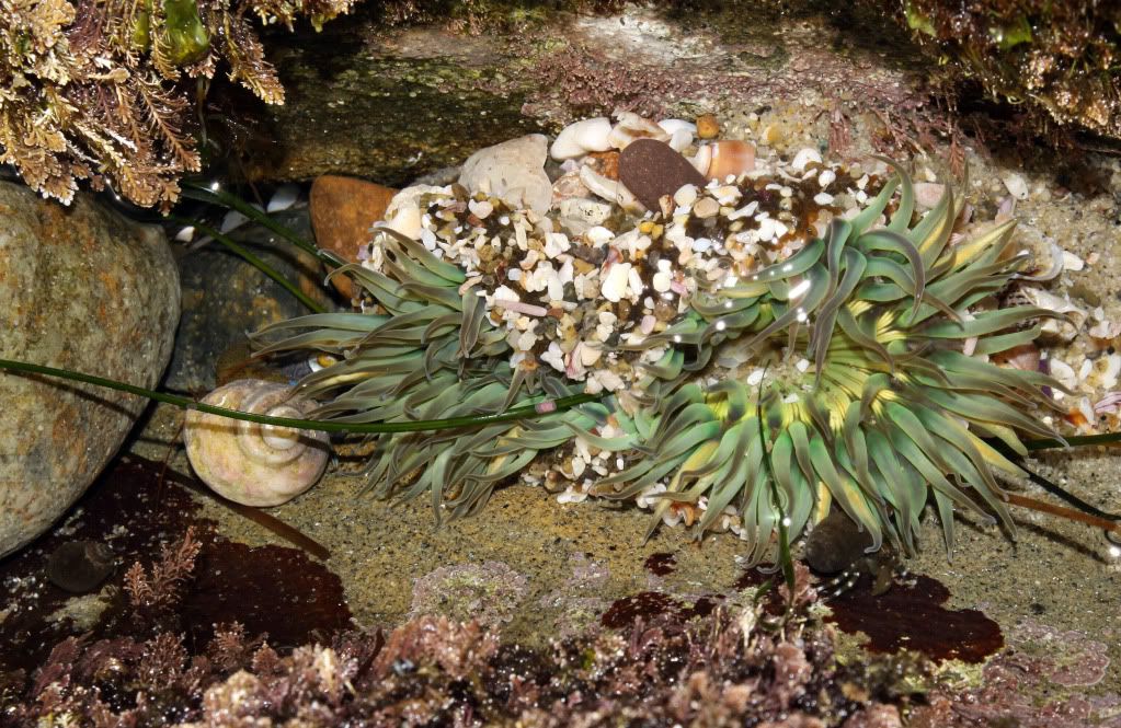 IMAGE: http://i793.photobucket.com/albums/yy220/alissa190/2010_02_14_9999_64.jpg