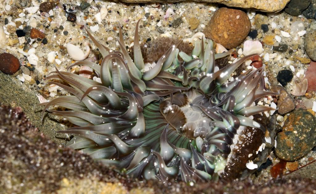 IMAGE: http://i793.photobucket.com/albums/yy220/alissa190/2010_02_14_9999_68.jpg