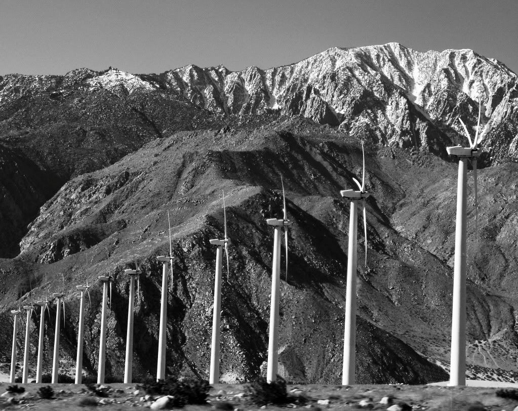 IMAGE: http://i793.photobucket.com/albums/yy220/alissa190/2010_03_31_9999_2bw.jpg