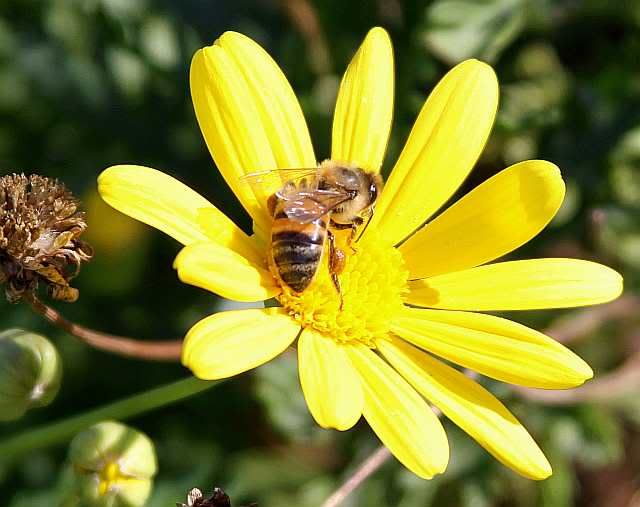 IMAGE: http://i793.photobucket.com/albums/yy220/alissa190/dfhfh.jpg