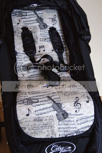 https://i793.photobucket.com/albums/yy211/xy979/DSC07944.jpg